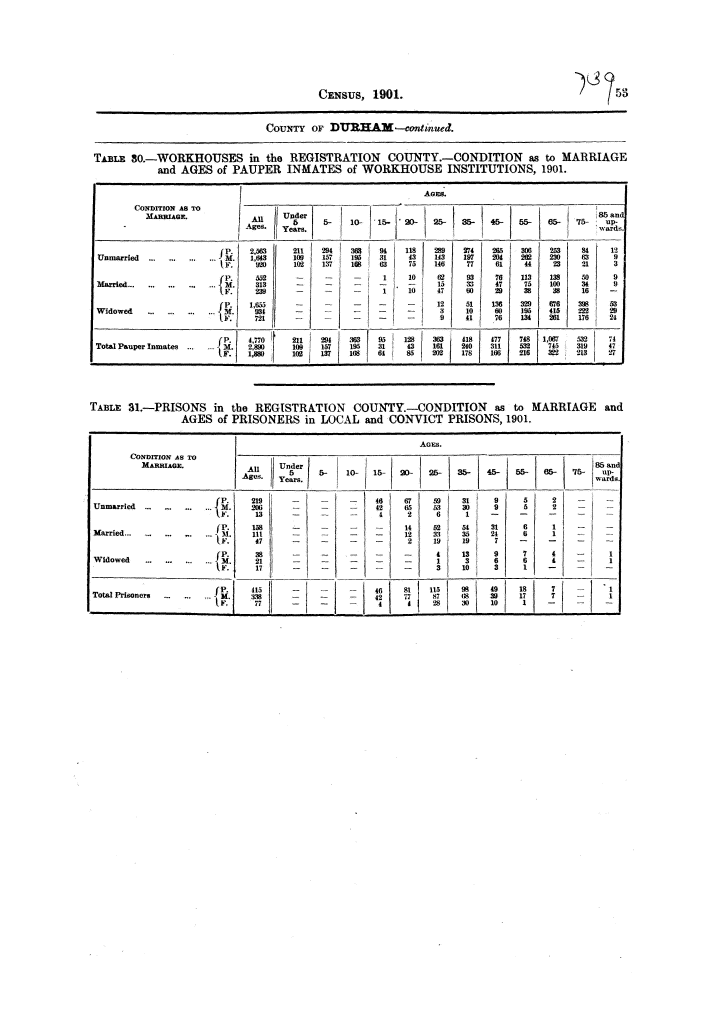 Page 53 Page 53
